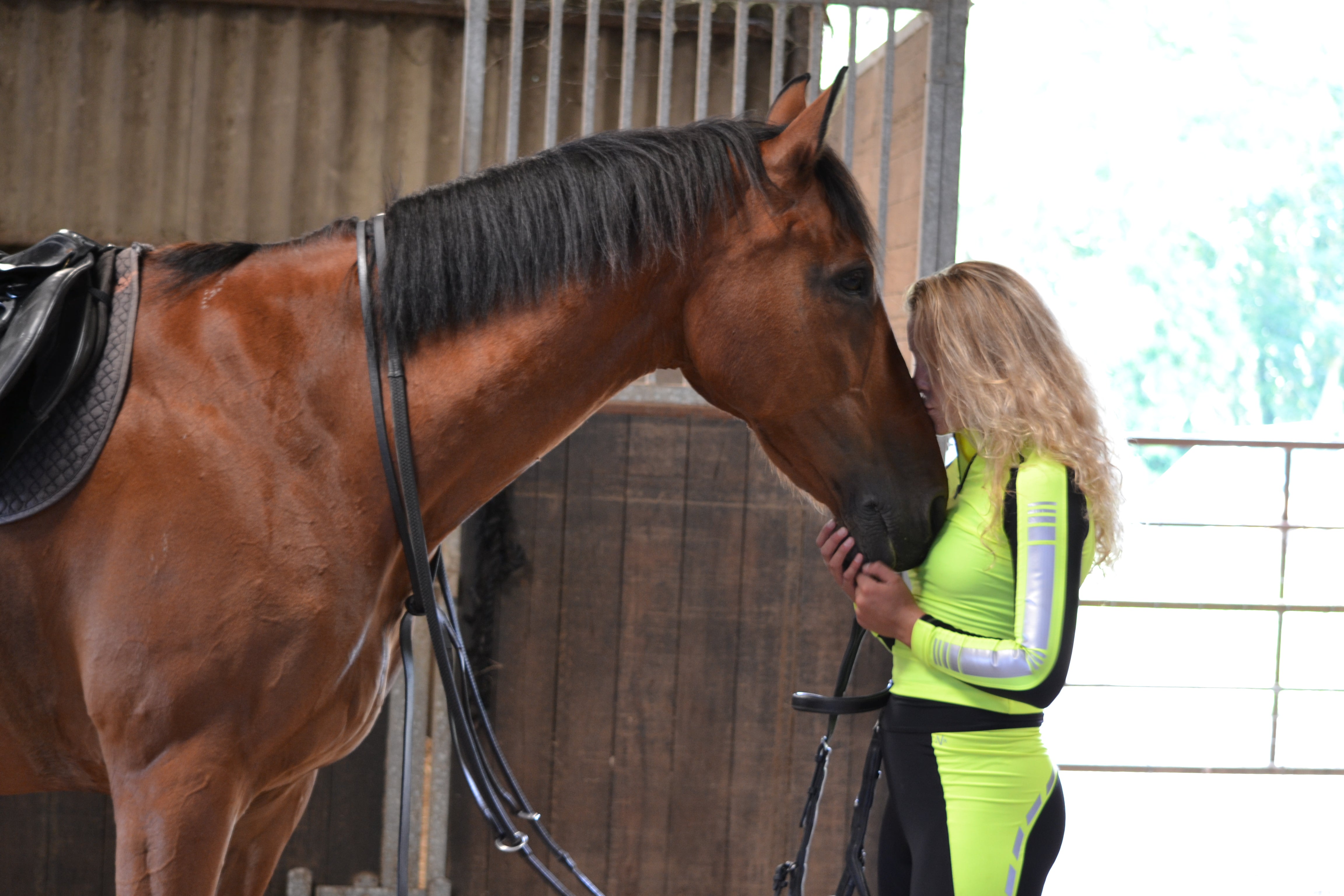 CONFIDENCE IN HORSE JUMPING – DVR Equestrian Ltd