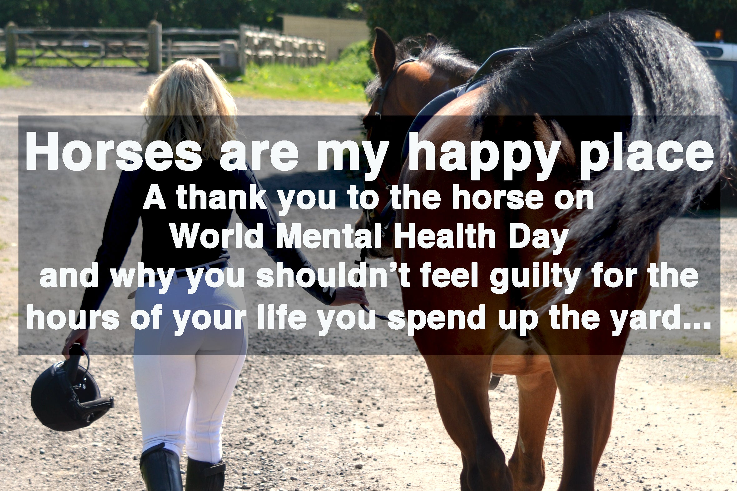 is-horse-riding-good-for-mental-health-dvr-equestrian-ltd