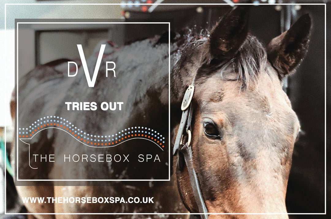DVR trials The Horse Box Spa!