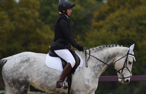 Preparing for your first dressage test