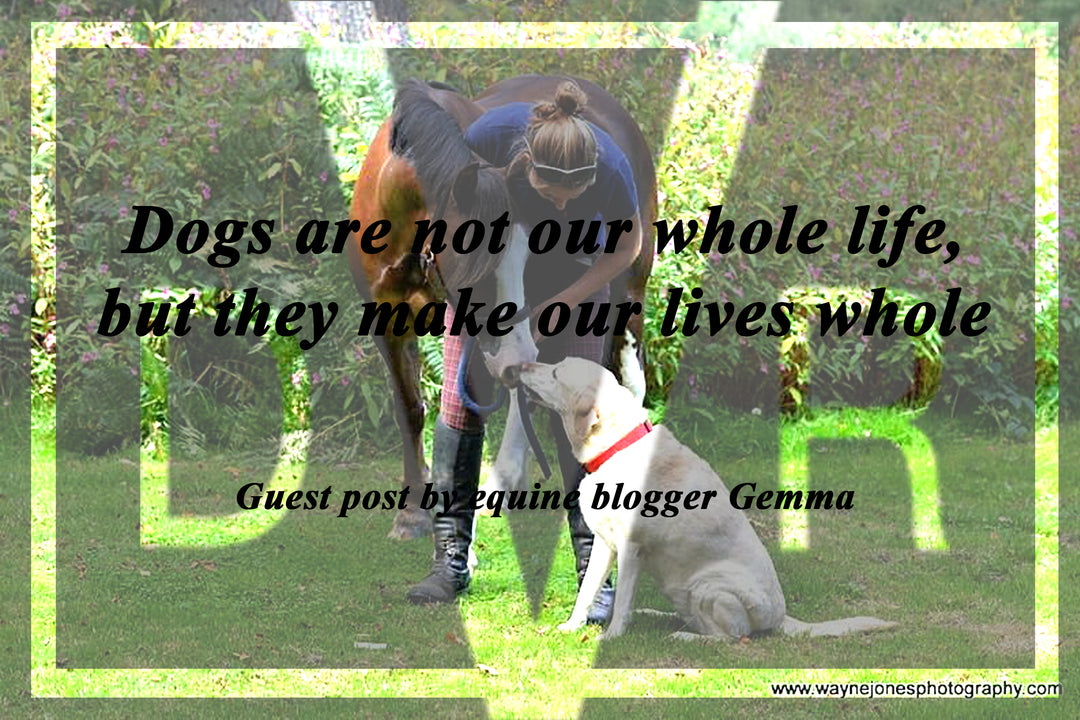 Dogs are not our whole life, but they make our lives whole...